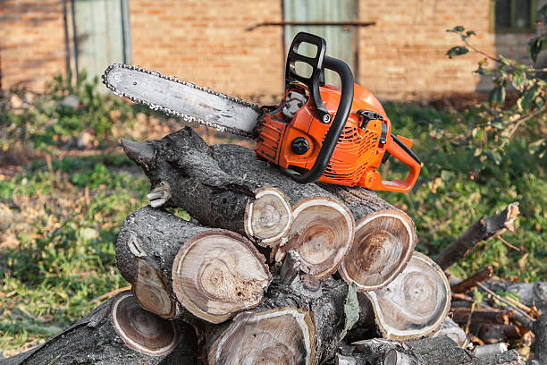 Best Residential Tree Removal  in Fort Clark Springs, TX